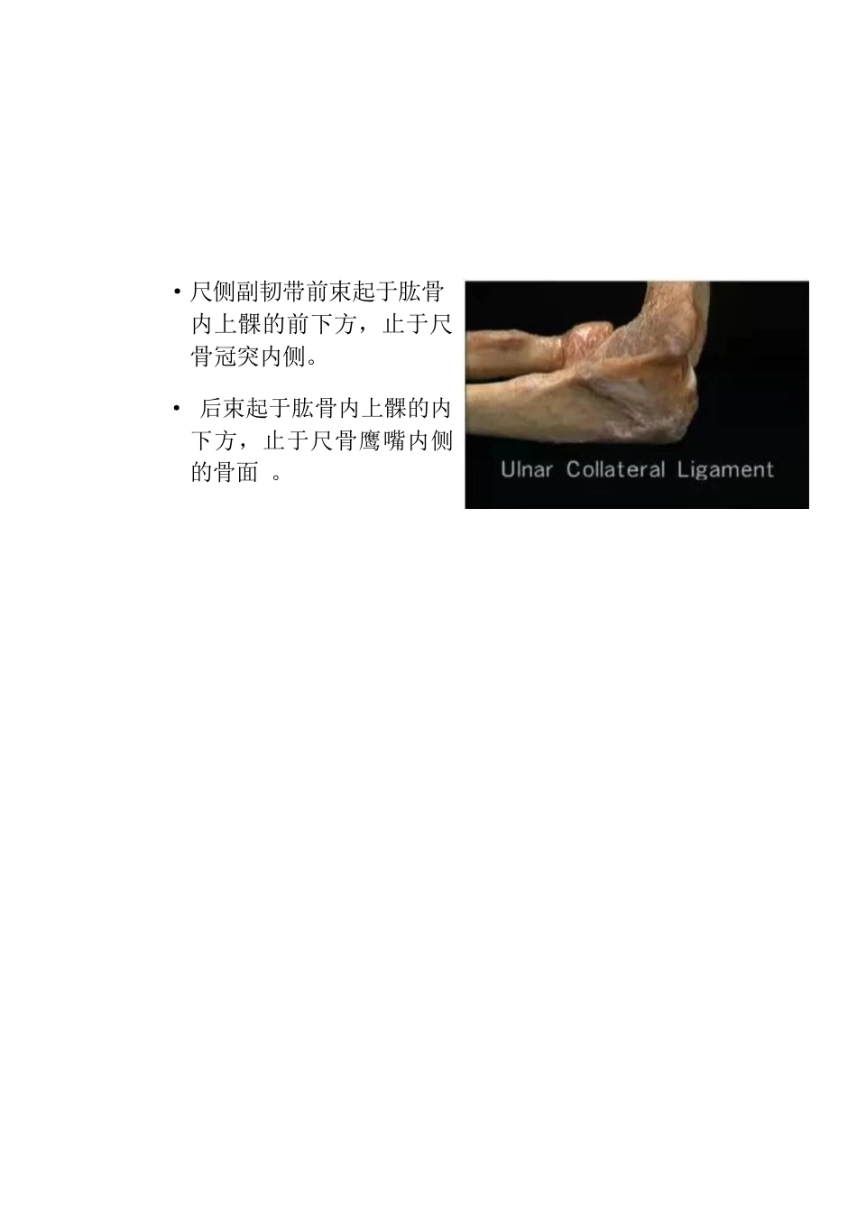 肘关节手术入路二_第4页