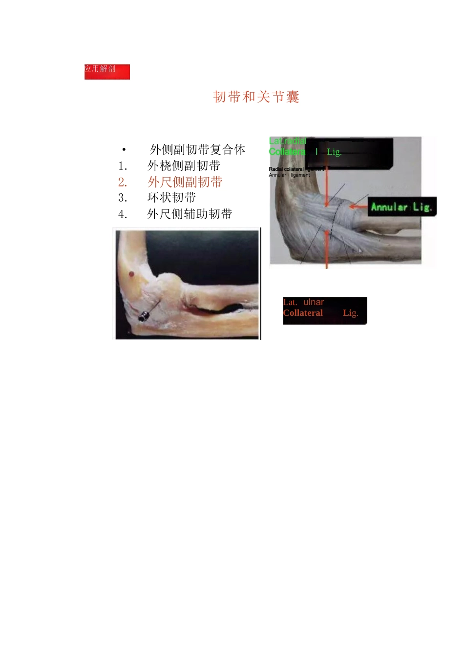 肘关节手术入路二_第5页