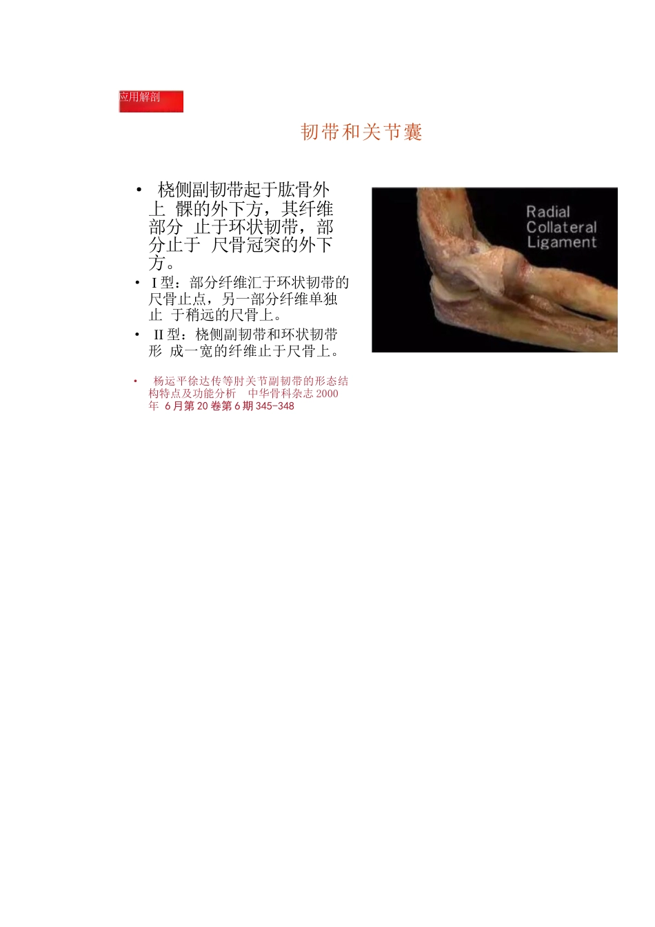 肘关节手术入路二_第6页
