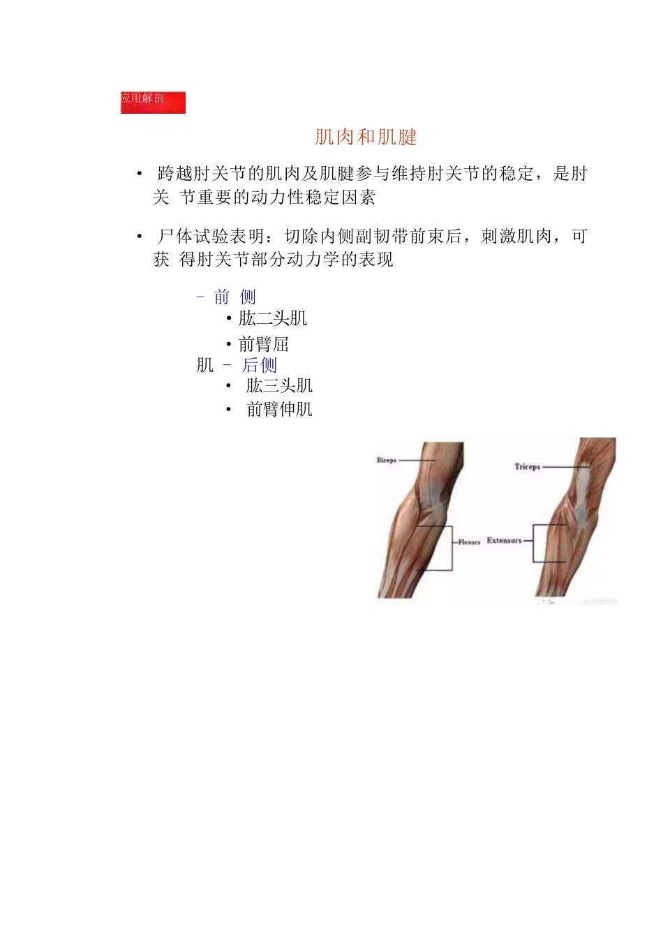 肘关节手术入路二_第9页