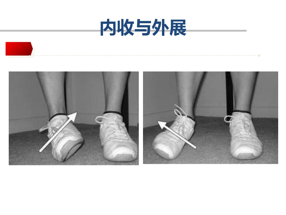 踝关节骨折Lauge-hansen分型的理解与评价_第10页