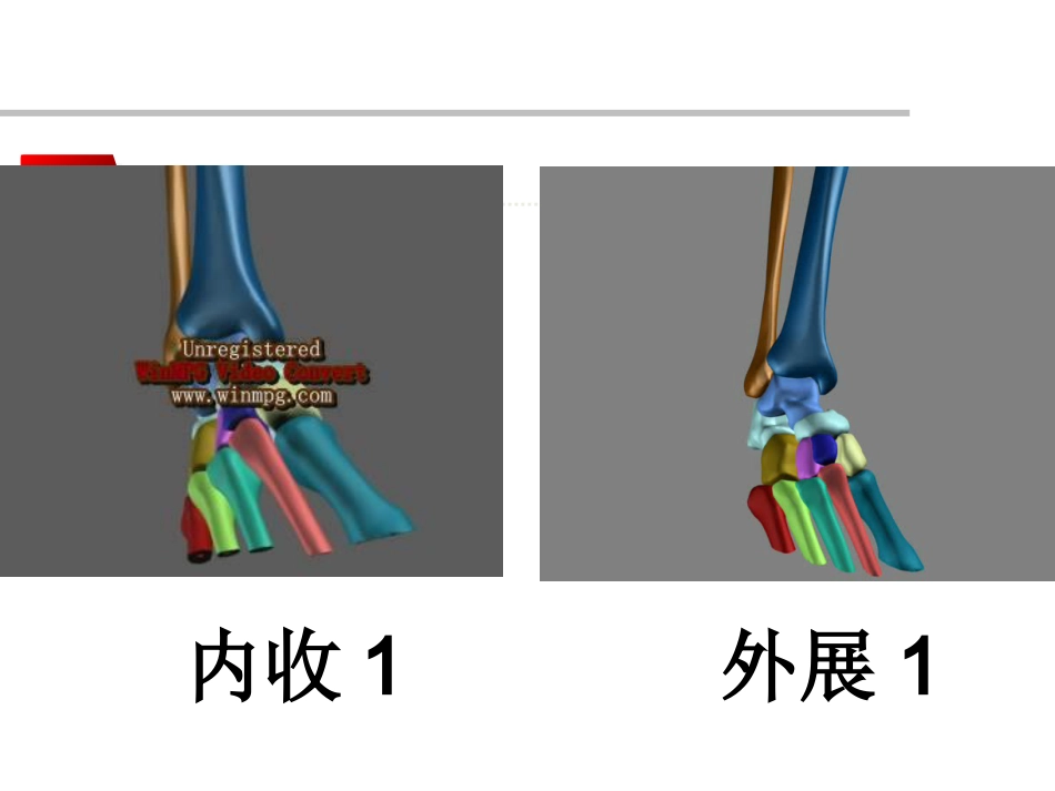 踝关节骨折Lauge-hansen分型的理解与评价_第11页