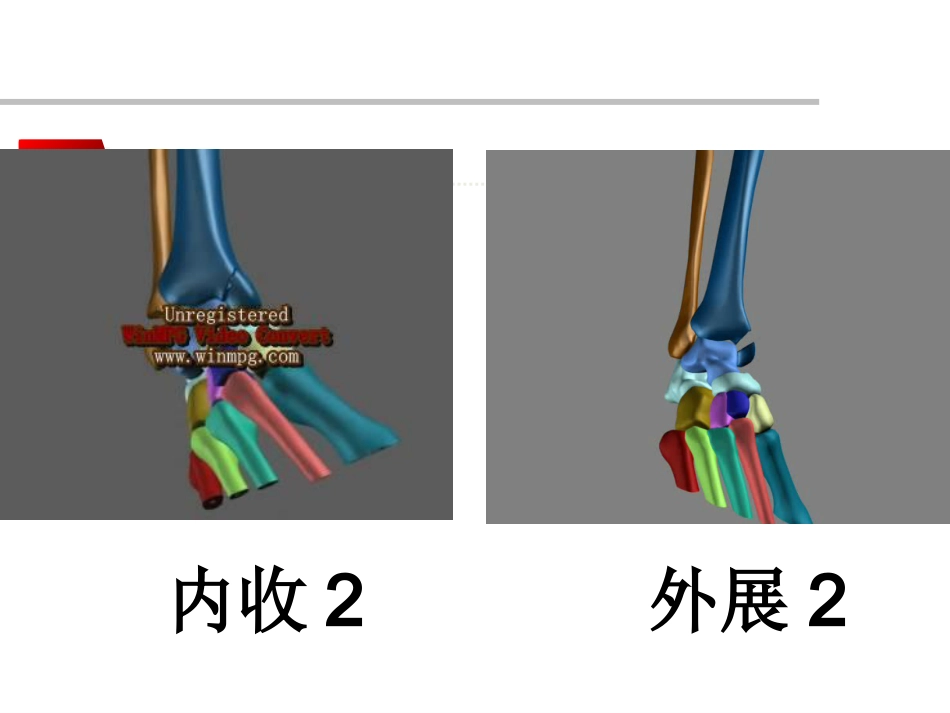 踝关节骨折Lauge-hansen分型的理解与评价_第12页
