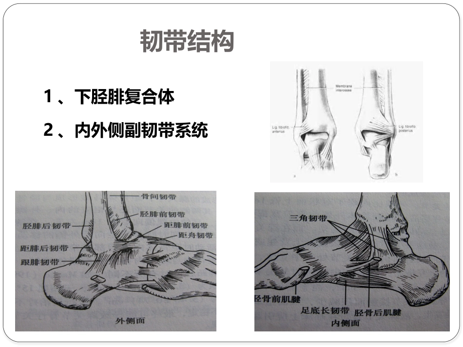 踝关节骨折——三踝骨折_第5页