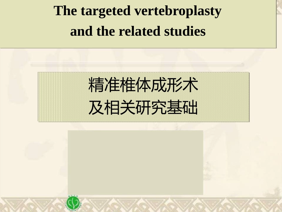 精准椎体成形术_第1页