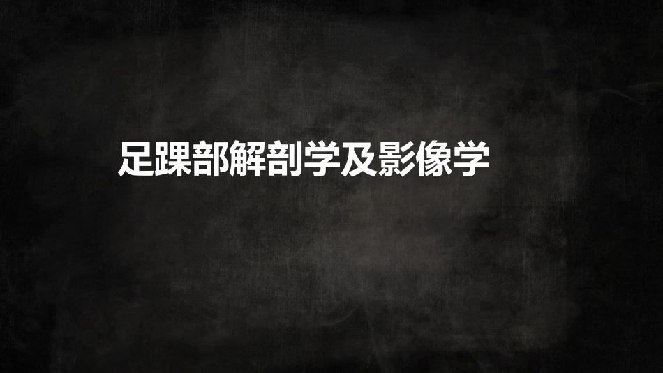 足踝解剖二_第1页