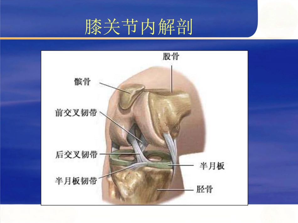 膝关节不稳的临床分型_第10页