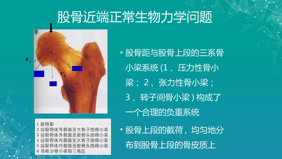 股骨粗隆间骨折若干问题的探讨_第9页