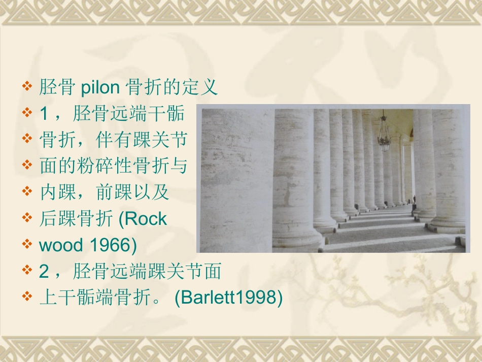 复杂性关节内骨折——pilon骨折治疗_第2页