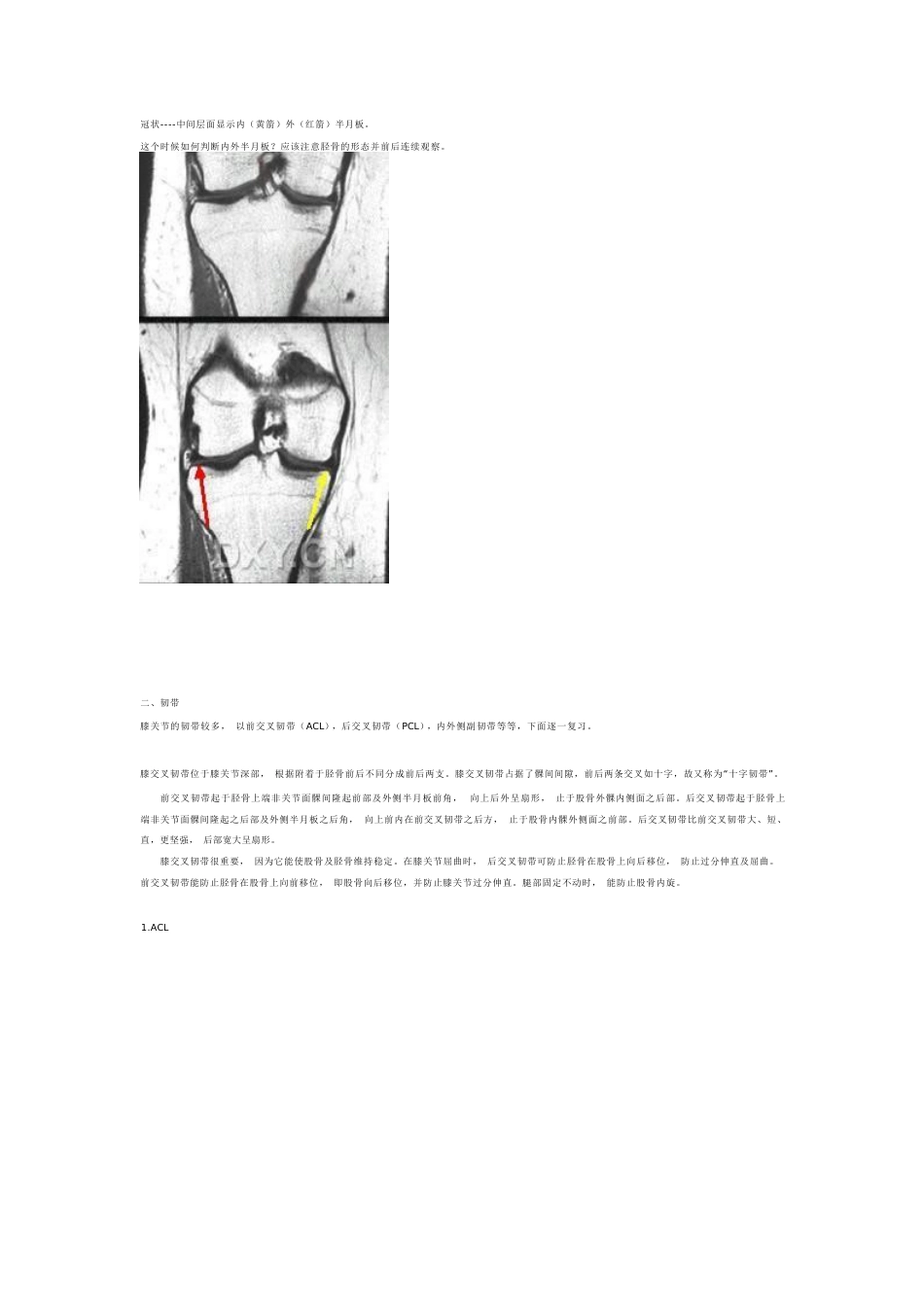 膝关节MRI诊断之正常解剖_第9页