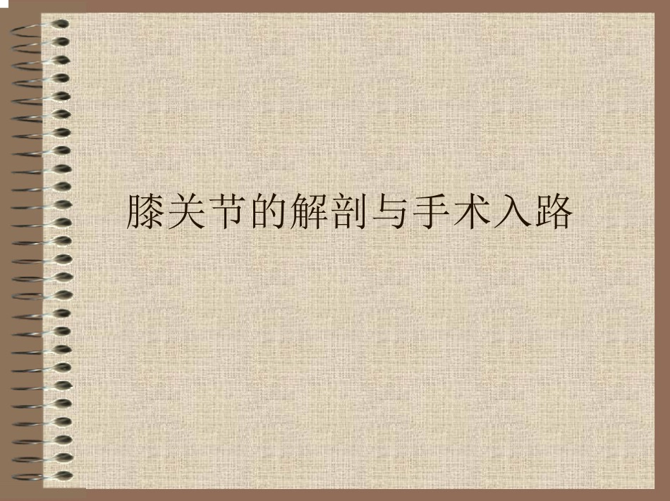 膝关节的解剖与手术入路_第1页