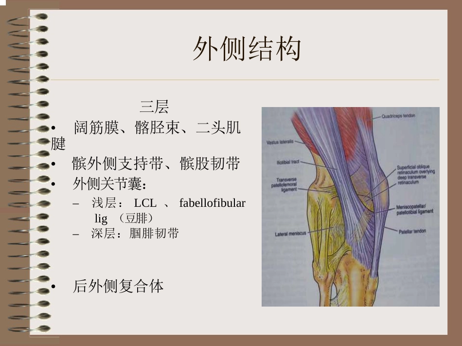 膝关节的解剖与手术入路_第14页
