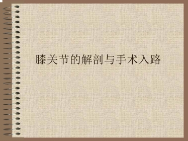 膝关节的解剖与手术入路