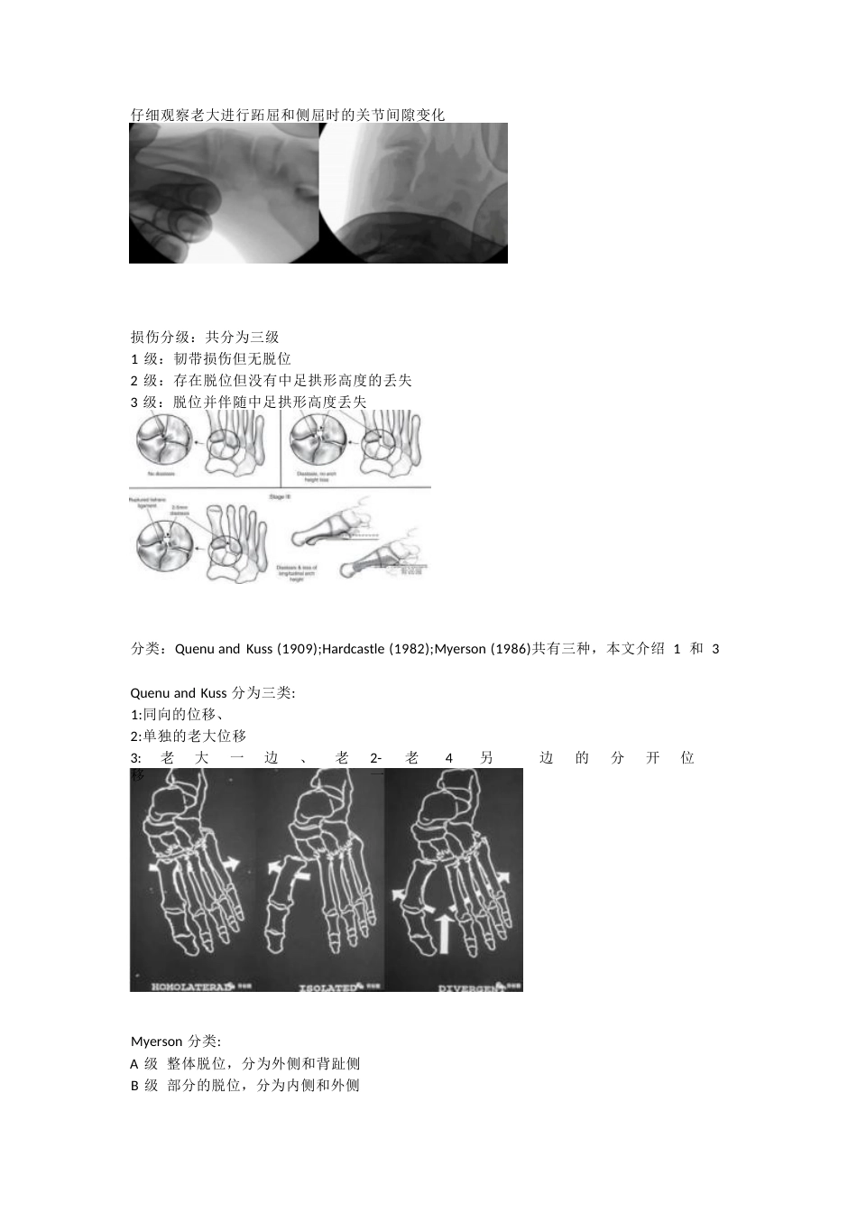 跖跗关节（Lisfranc）损伤的治疗策略与技巧_第5页