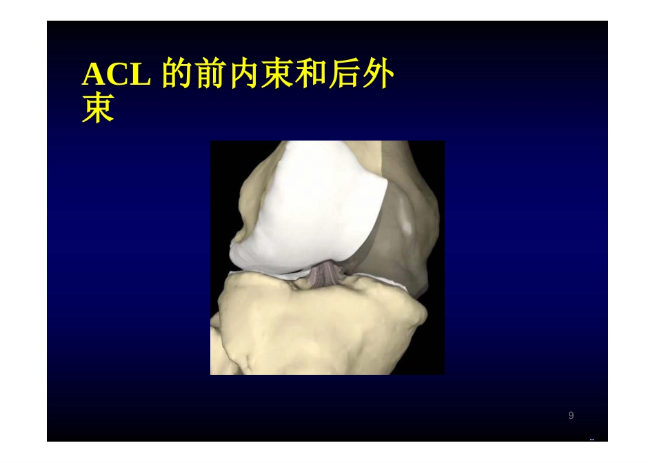 膝关节解剖_第9页
