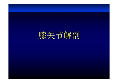 膝关节解剖