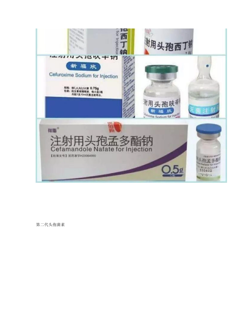 开放性骨折的治疗原则_第10页