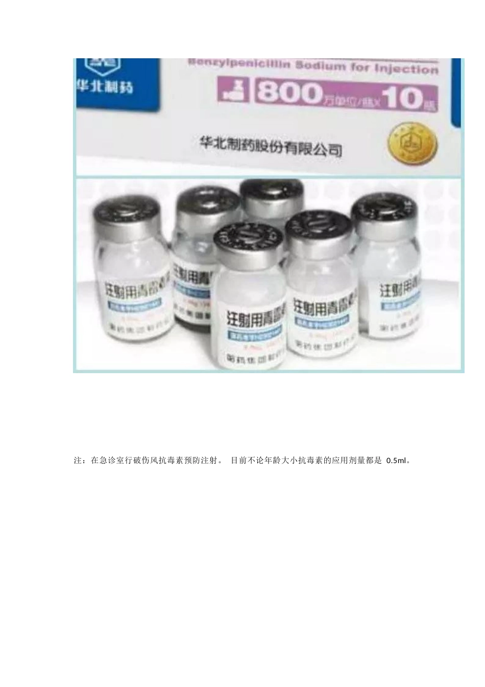 开放性骨折的治疗原则_第13页