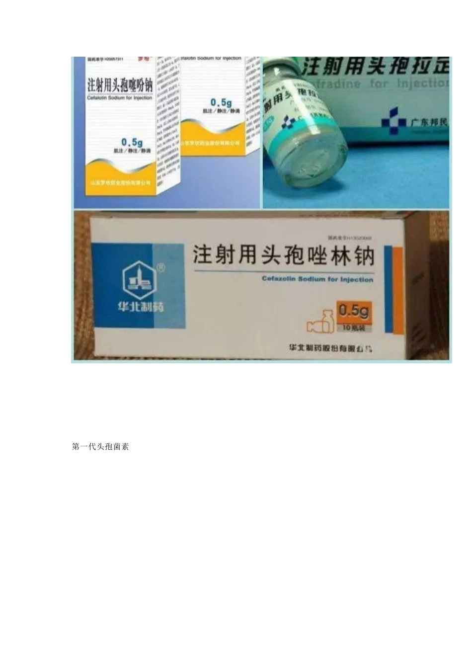 开放性骨折的治疗原则_第9页