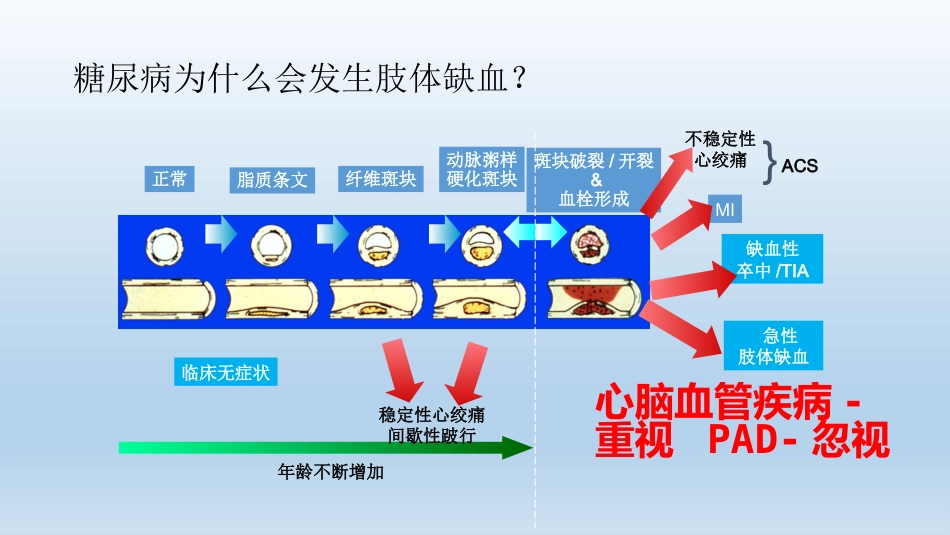 浅说胫骨横向骨搬移技术_第4页