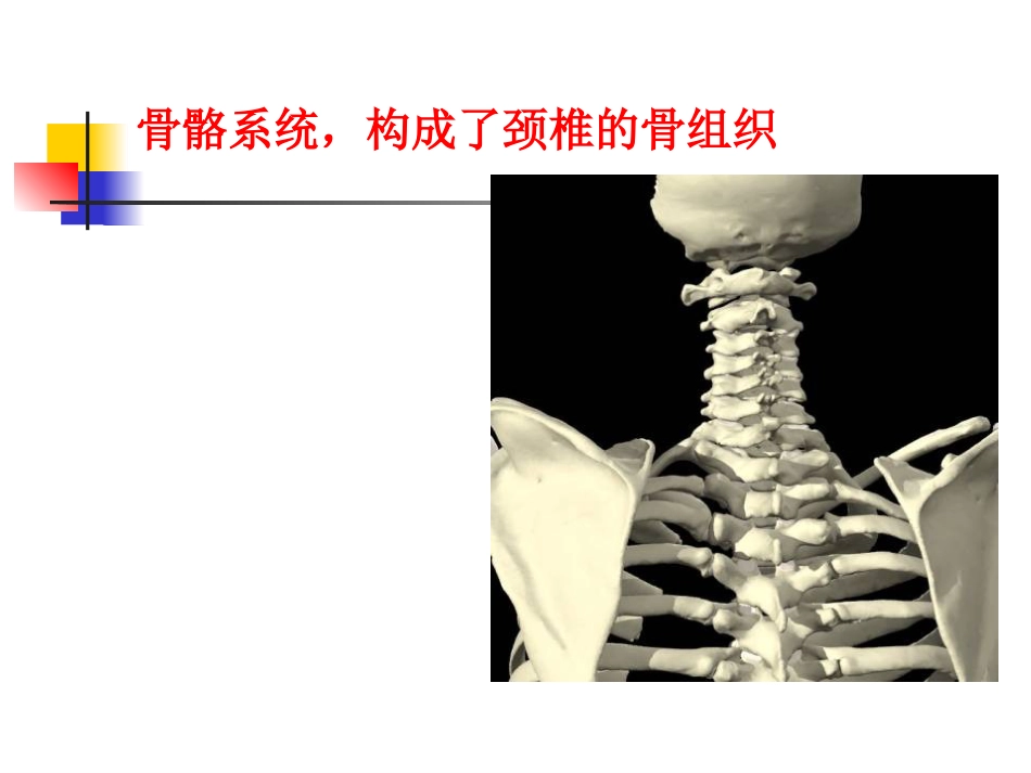 颈椎病的诊断与治疗_第7页
