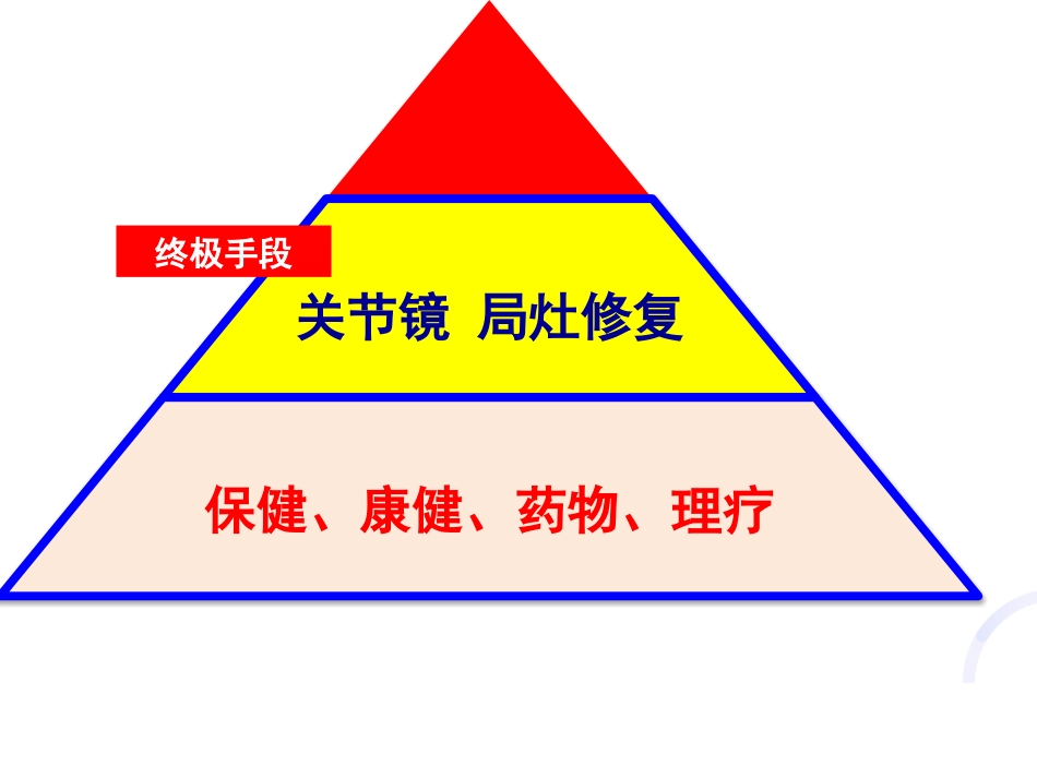 UKA与TKA 如何选择？_第10页