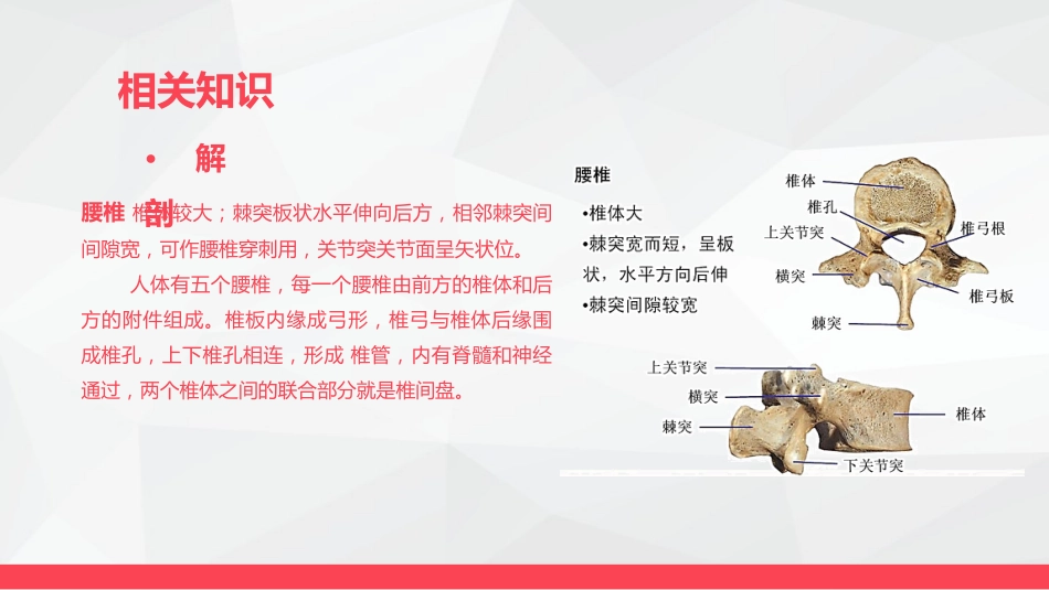 腰颈椎联合手术患者术后护理_第5页