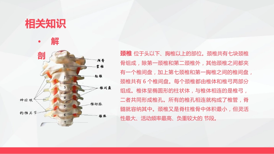 腰颈椎联合手术患者术后护理_第6页