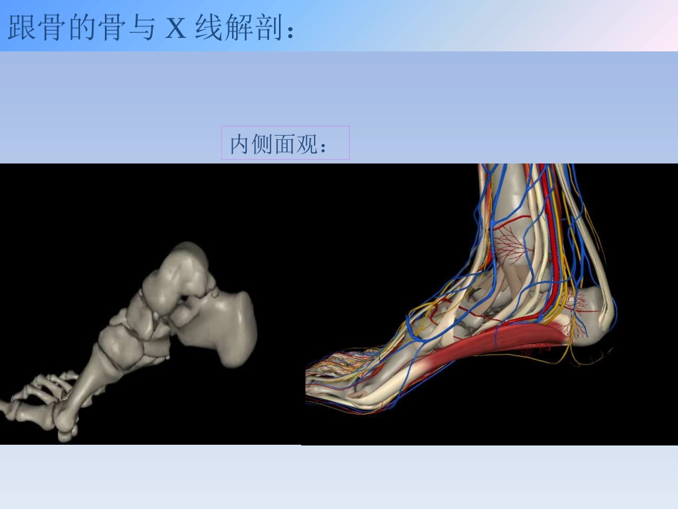 跟骨骨折的治疗_第6页