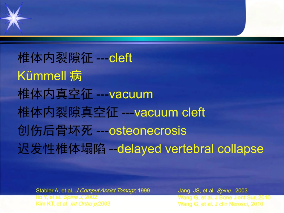 胸腰椎骨折_第7页