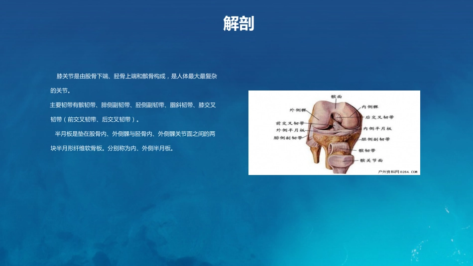 膝关节炎护理查房_第6页