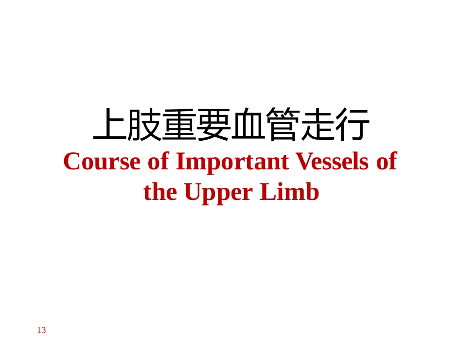 上肢主要 血管神经_第13页