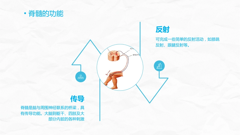 脊髓损伤的护理查房_第10页