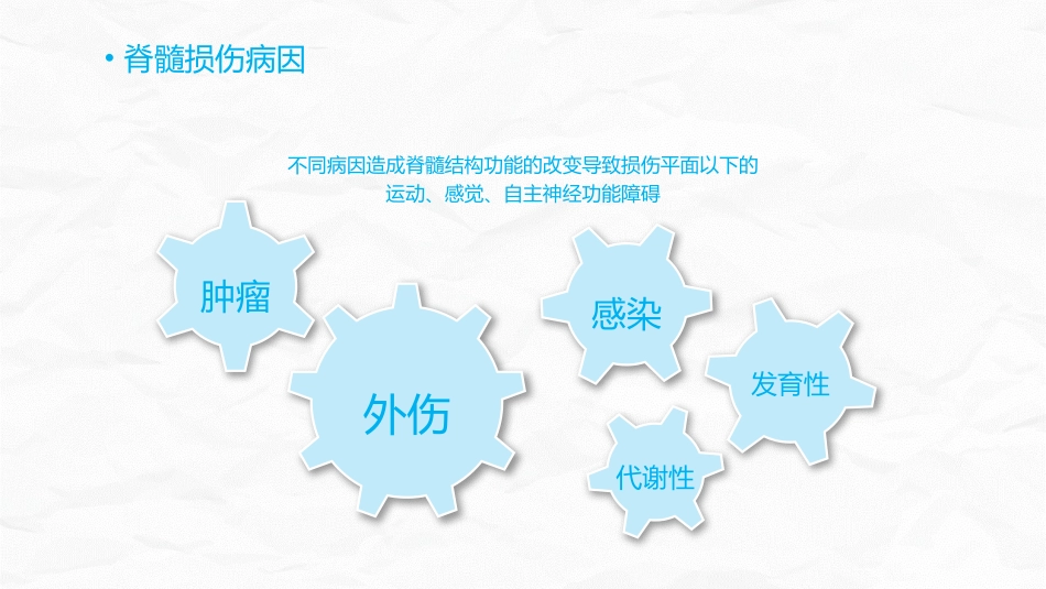 脊髓损伤的护理查房_第11页