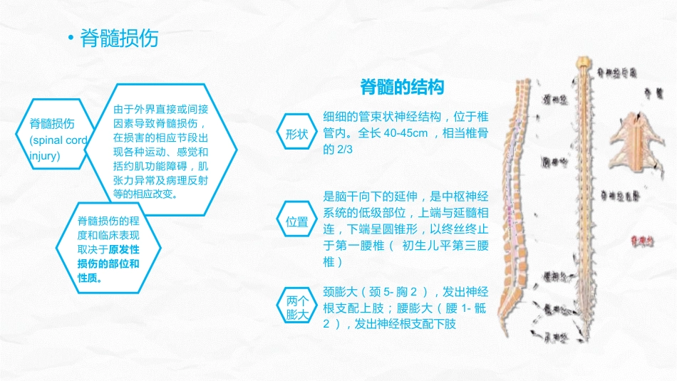脊髓损伤的护理查房_第9页
