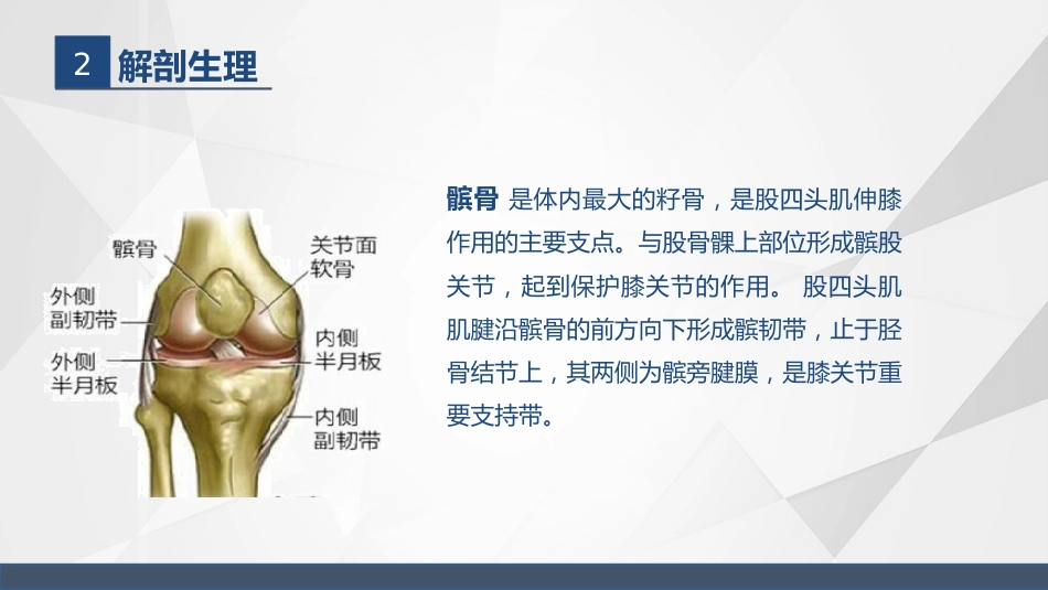 髌骨骨折的护理_第5页