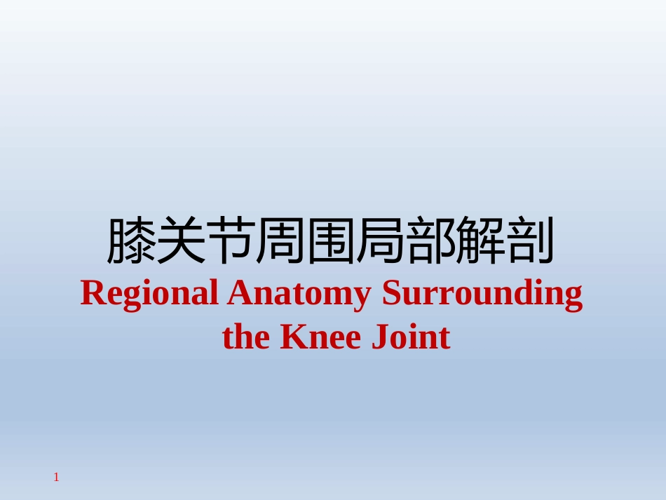 长海膝关节周围解剖_第1页