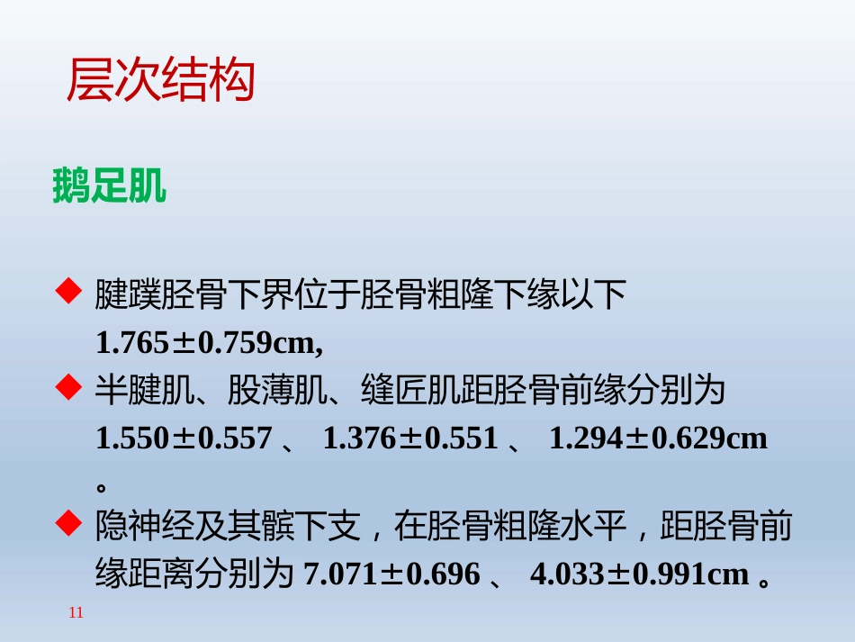 长海膝关节周围解剖_第11页