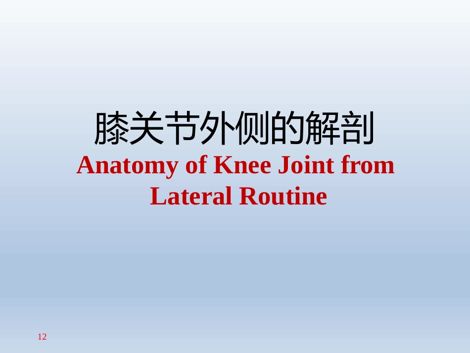 长海膝关节周围解剖_第12页