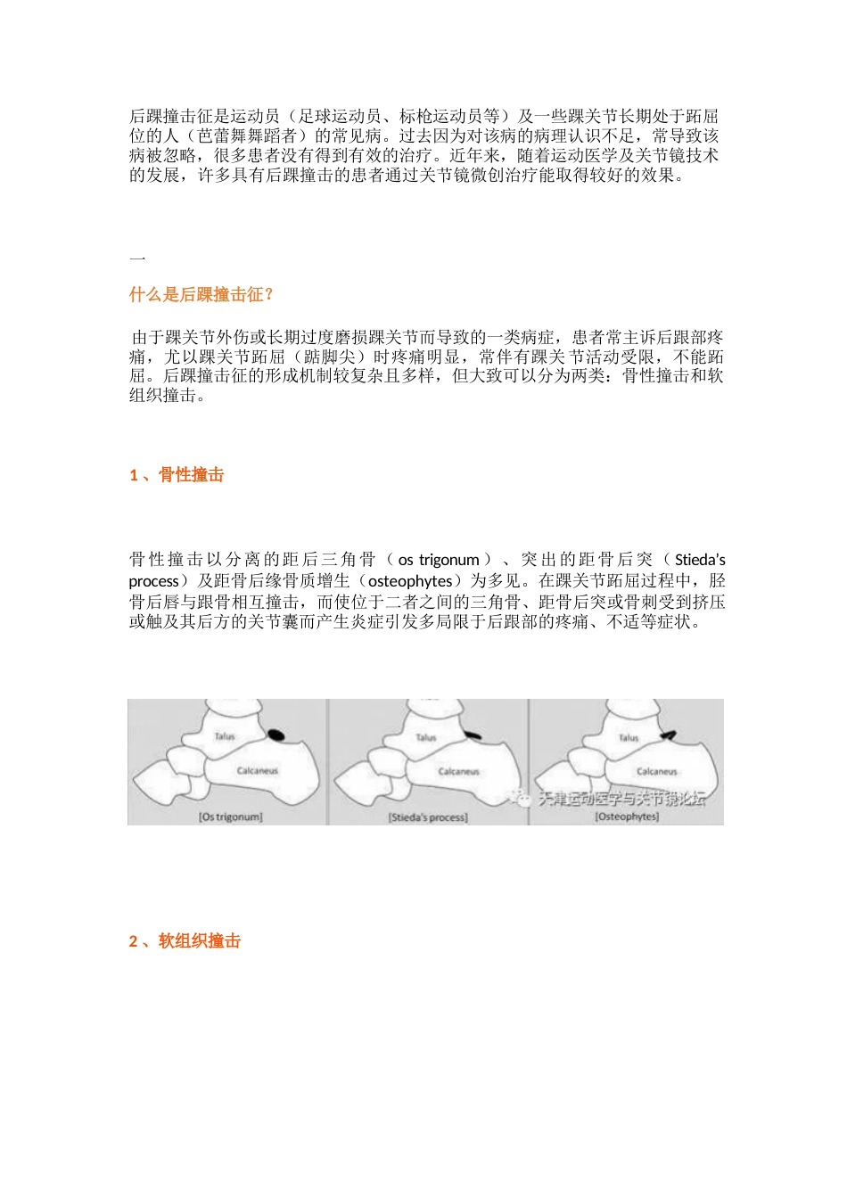 后踝撞击综合征的诊治技巧_第1页