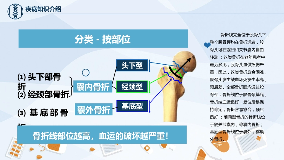 骨科-股骨颈骨护理查房_第12页