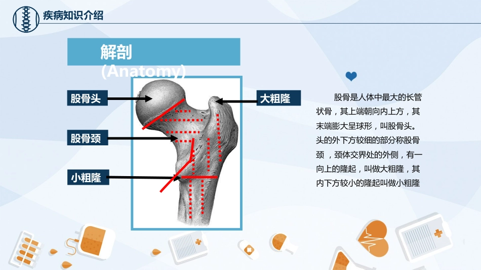 骨科-股骨颈骨护理查房_第8页
