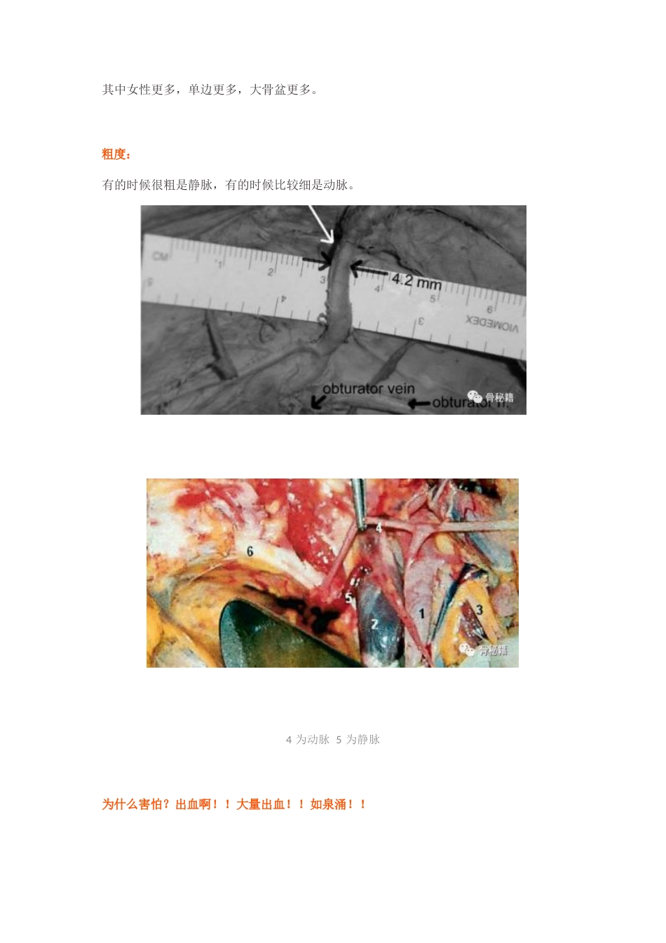 “死亡之冠”，应该如何处理？_第3页