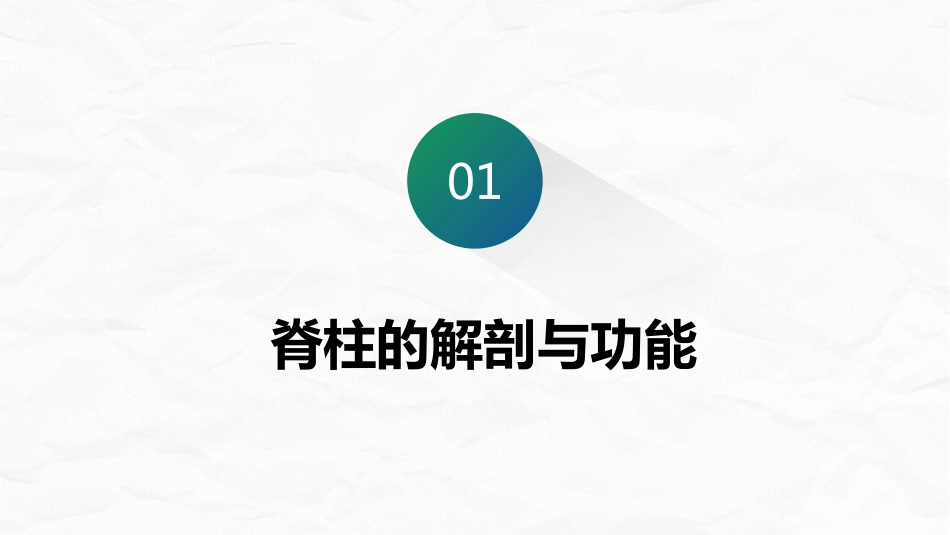 腰椎骨折围手术期护理_第3页