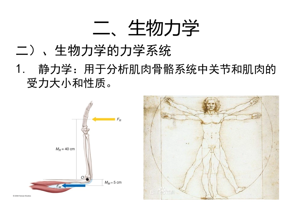 矫形器生物力学概述_第12页
