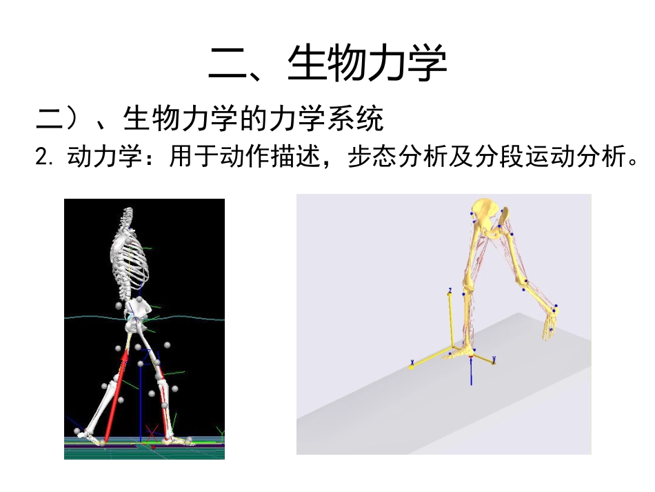 矫形器生物力学概述_第13页