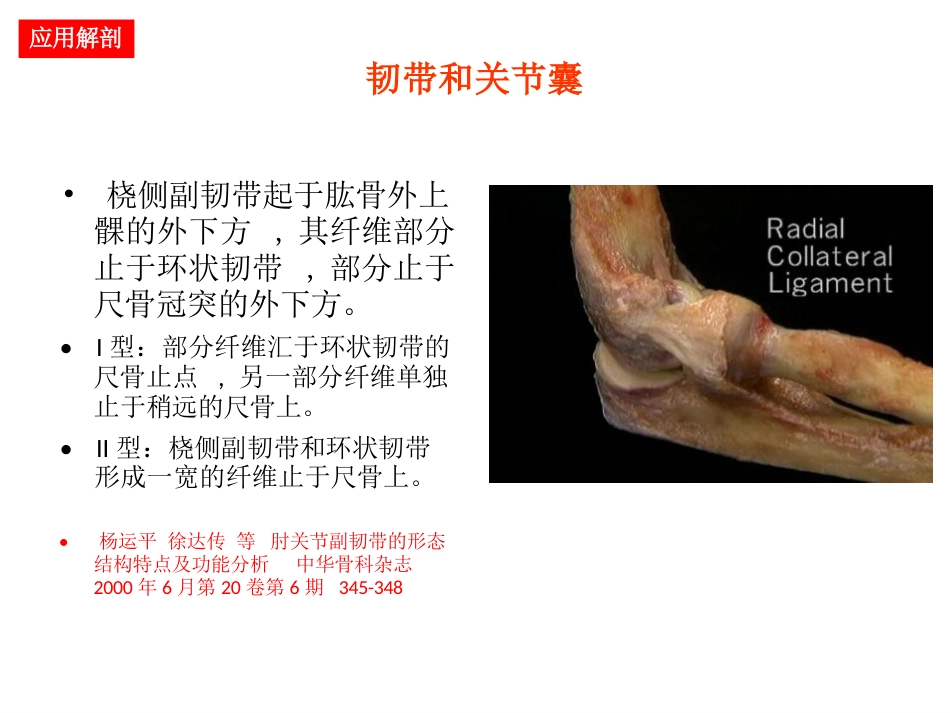 肘关节手术入路_第6页