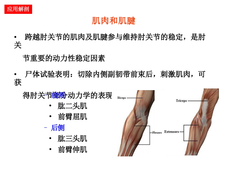 肘关节手术入路_第9页