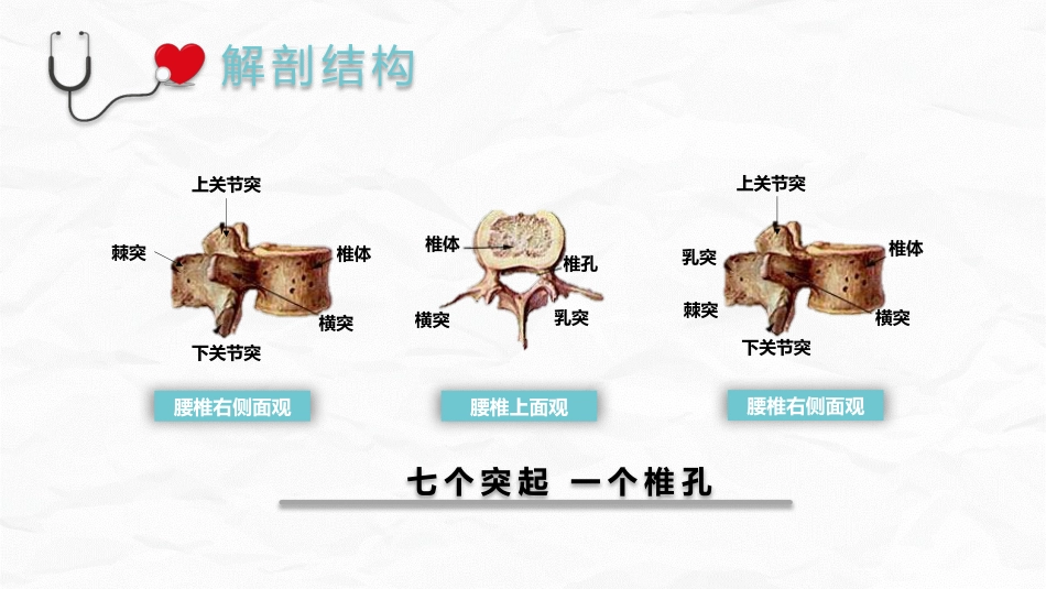 腰椎压缩性骨折护理业务_第5页