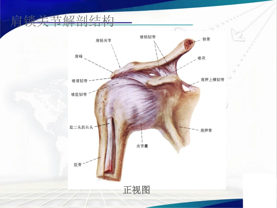 双ENDOBUTTON技术重建肩锁关节_第2页